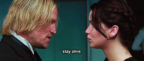 Haymitch-and-Katniss-the-hunger-games-30748138-500-213